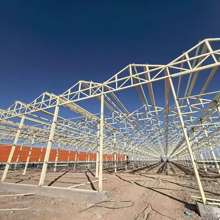 De ce este un cadru de seră din oțel galvanizat cea mai bună alegere pentru agricultura modernă